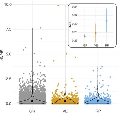 Reproductive Proteins Evolve Faster Than Non-reproductive Proteins Among Solanum Species